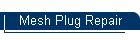 Mesh Plug Repair